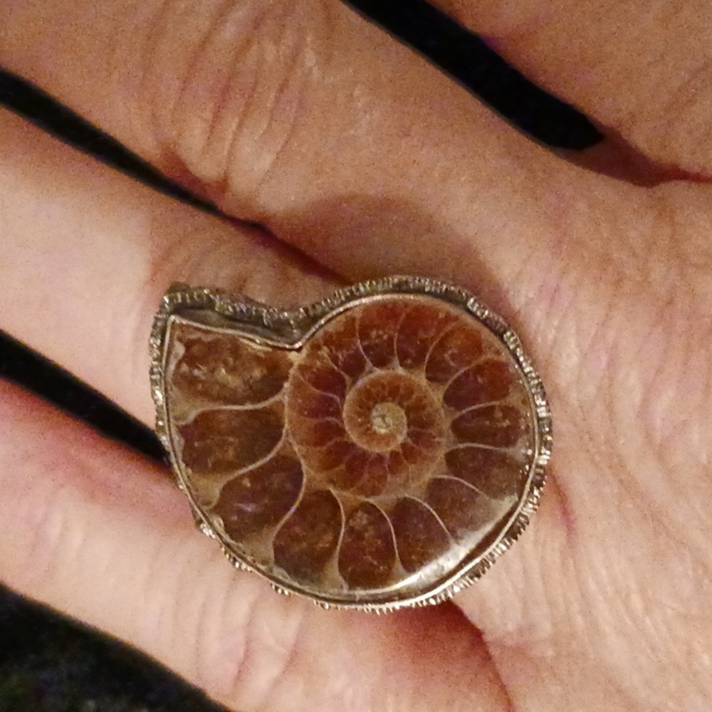 Fossil Ammonite Statement Ring - image 1